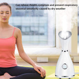 Lzour Vapor Facial irónico Nano, Vapor Facial del Balneario, inhalador Profesional del Vapor del Sino con la Niebla Caliente unclog el poro para el hogar SPA Que Abre los poros para la eliminación